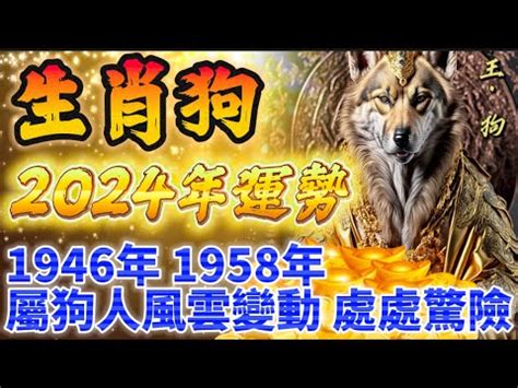 1958年屬狗|1958年属狗的是什么命，58年出生的狗五行属什么